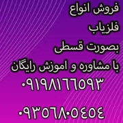 فلزیاب ۱۲ Headhunter